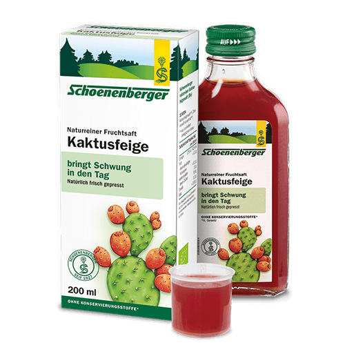 JUGO FRUTA HIGO CHUMBO BIO 200 ML.