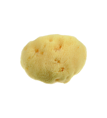 ESPONJA FINE DAMA  7 cm