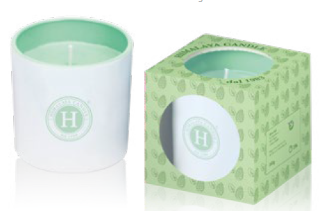 [HIVEPAPI165] VELA PASTEL PINO Y MENTA 165 GRS.