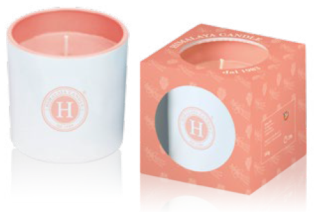 [HIVEPAVA165] VELA PASTEL PINO Y MENTA 165 GRS. (copia)